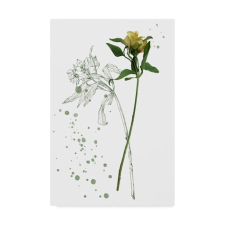 Melissa Wang 'Botany Flower I' Canvas Art,12x19